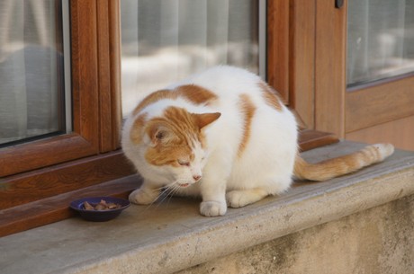 Salon de Provence